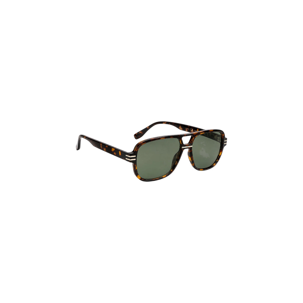 Malibu Green Tortoise